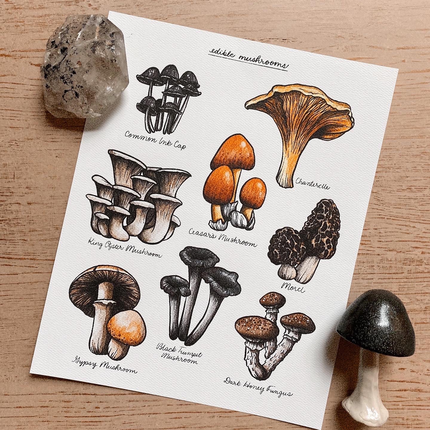 Scientific Chart 8x10 Art Print